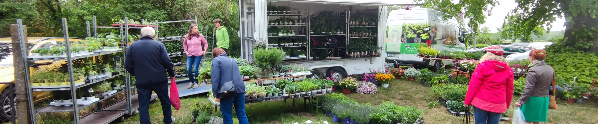 Kräutermarkt Kräutermarkt