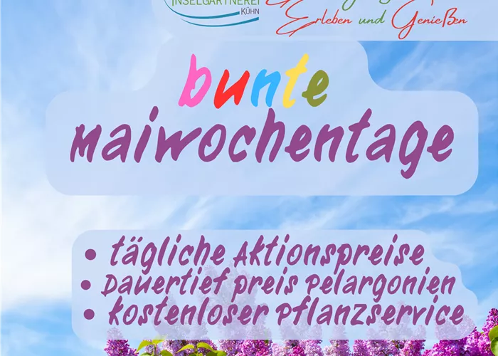 Beginn der bunten Maiwochentage Beginn der bunten Maiwochentage
