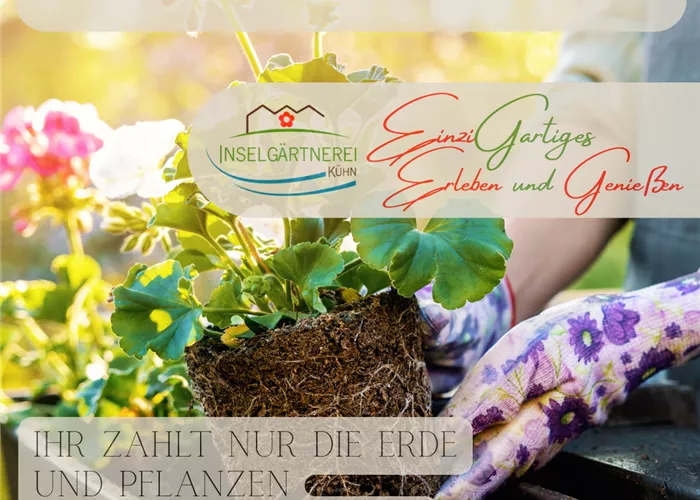 kostenloser Pflanzservice für Balkonkästen kostenloser Pflanzservice für Balkonkästen