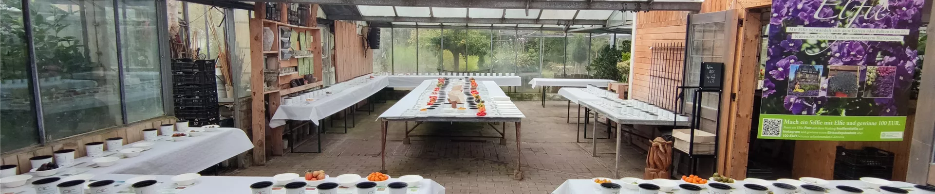 IMG_20230818_140448 IMG_20230818_140448