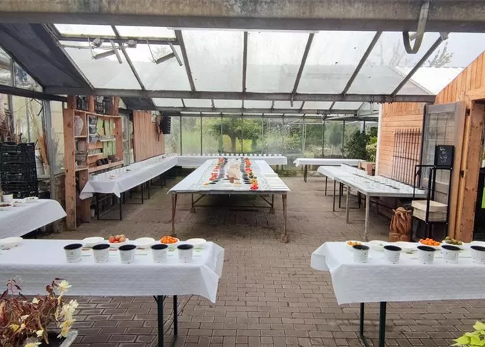 Sallenthiner Tomatentag Sallenthiner Tomatentag