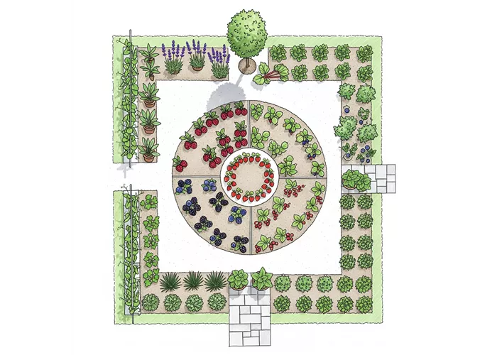 Pflanzpaket Naschgarten